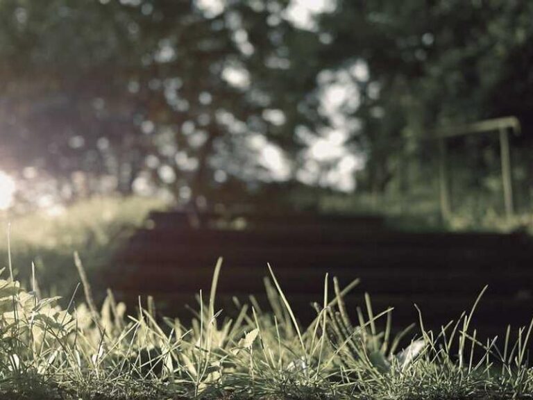 Cetak Spanduk Murah Tasikmalaya: Kualitas Terbaik, Harga Terjangkau di Nuela Percetakan